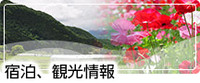 宿泊・観光