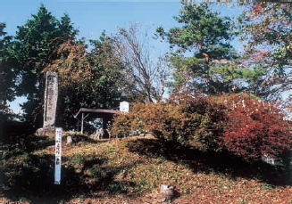 正縁塚と一本松の写真