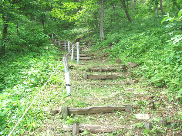 写真：市民の森3