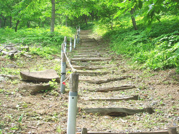 写真：市民の森4