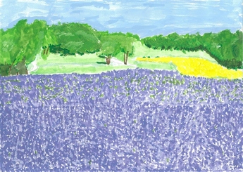 絵画
