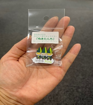 実寸大イメージ写真