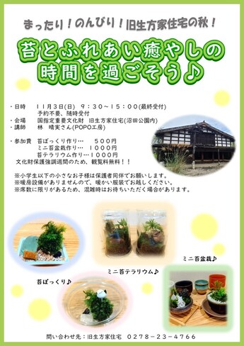 チラシの画像