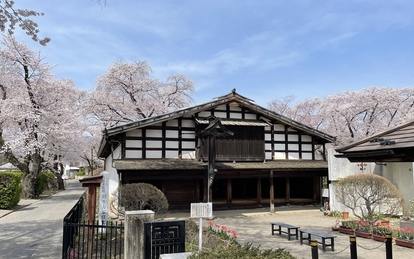桜の季節の旧生方家住宅