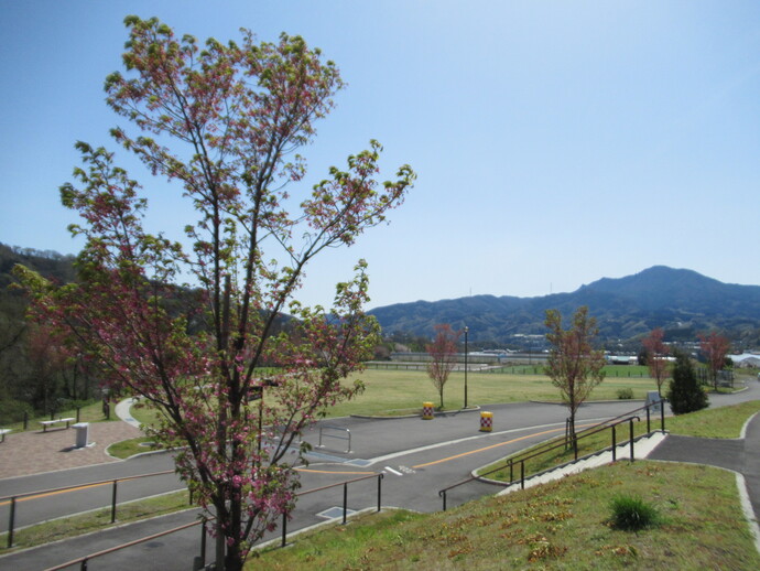 0422_tonami1