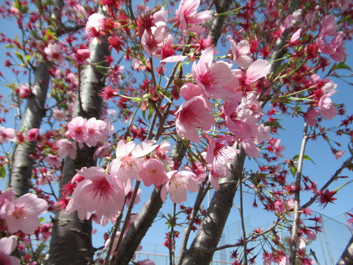 0422_tonami2